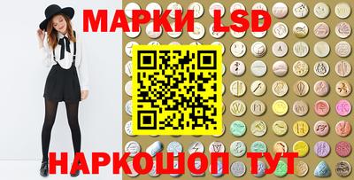винт Донецк