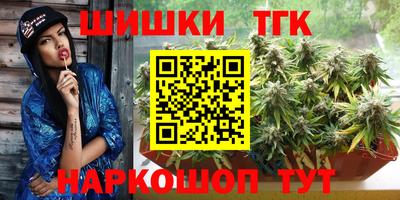 индика Волжский