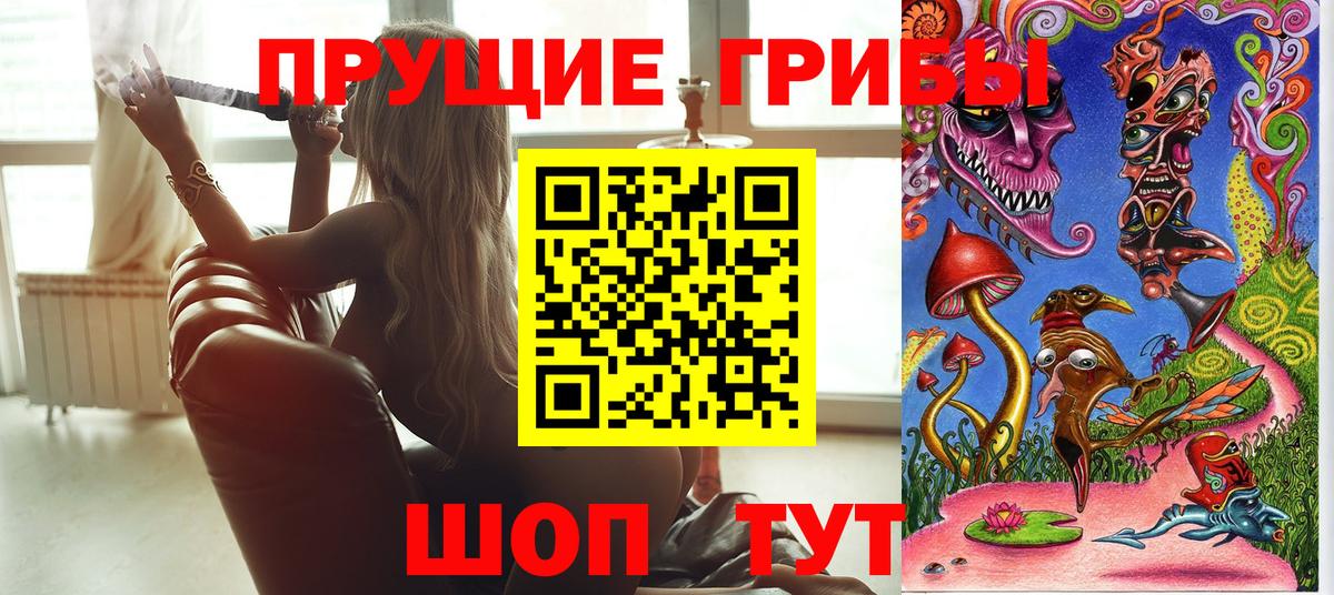 Псилоцибиновые грибы Cubensis  Дмитров 