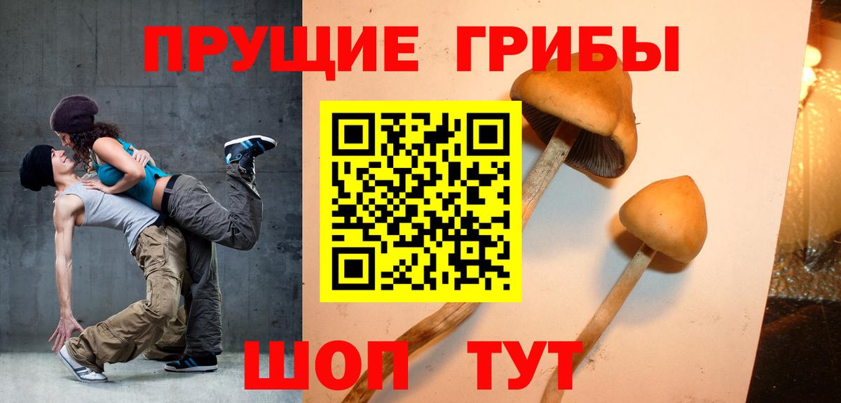Галлюциногенные грибы Psilocybine cubensis  Вход с VPN  Дмитров  Псилоцибиновые грибы прущие грибы 