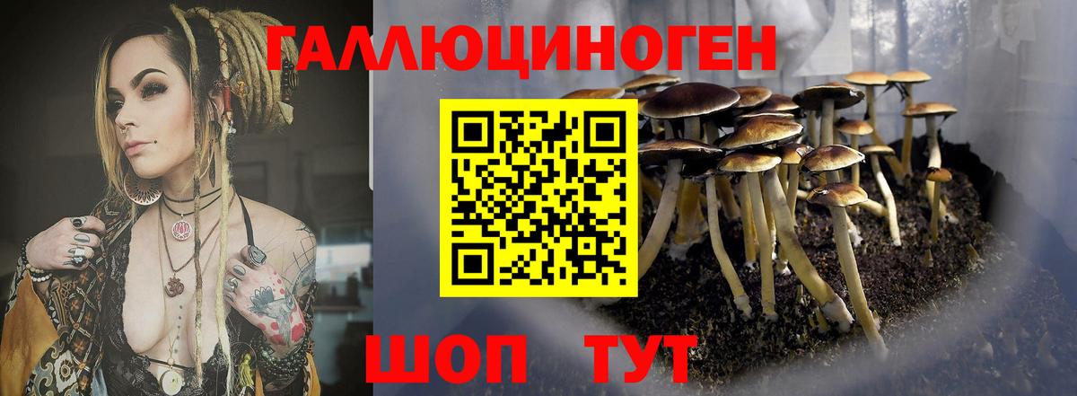 Псилоцибиновые грибы GOLDEN TEACHER Дмитров