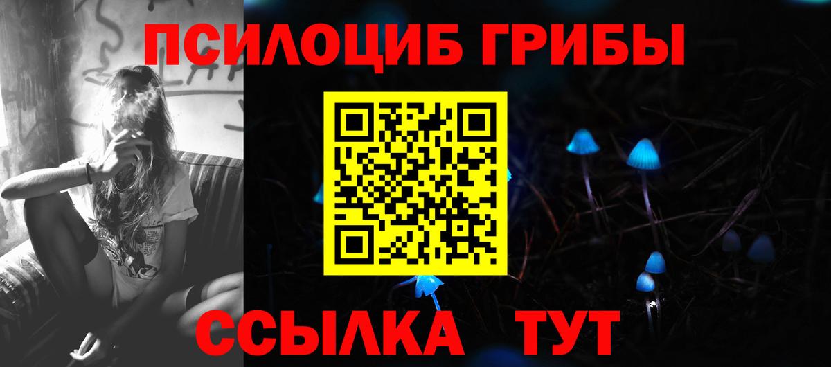 Псилоцибиновые грибы Psilocybine cubensis Дмитров